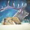 Elk-and-friends-001