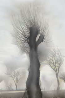 willow dreams by Chris R. Hasenbichler