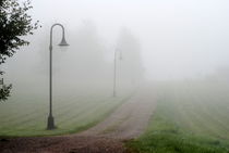 Weg im Nebel von tinadefortunata