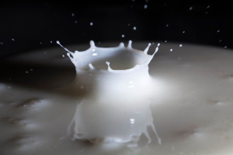 Milk01