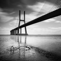 Vasco da Gama Bridge #02 by Nina Papiorek