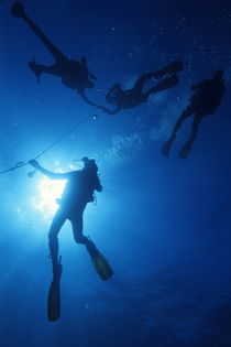 Divers at safety stop von Sami Sarkis Photography