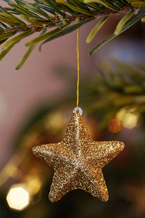 Star and Garland on Christmas tree by Sami Sarkis Photography