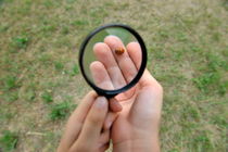Ladybug under magnifying glass by Sami Sarkis Photography