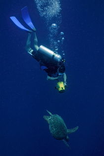 Diver filming Green Sea Turtle (Chelonia mydas) von Sami Sarkis Photography