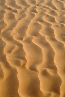 Close-up of sand dune pattern by Sami Sarkis Photography