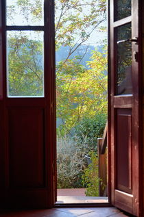 Opened door by garden by Sami Sarkis Photography