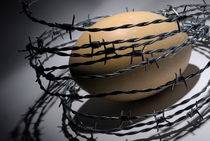 Ostrich egg surrounded by barbed wire by Sami Sarkis Photography