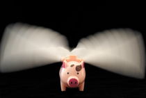 Flying Pig toy with wings von Sami Sarkis Photography