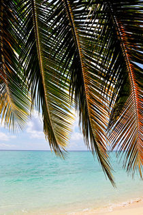 Tropical beach seen through palm fronds von Sami Sarkis Photography
