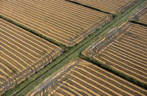 Tracks in harvested fields von Sami Sarkis Photography