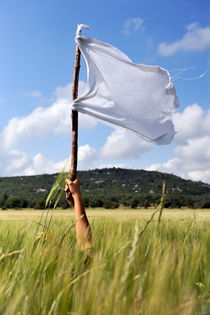 Holding white flag by Sami Sarkis Photography