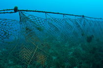 Old fishing net lost on ocean floor von Sami Sarkis Photography