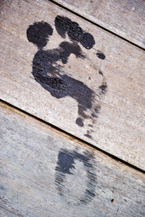 Wet footprint on wooden deck by Sami Sarkis Photography