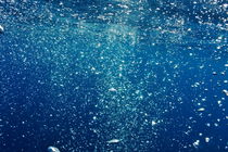 Scuba Diver's bubbles rising-up to surface von Sami Sarkis Photography