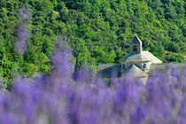 Senanque Abbey and lavender field by Sami Sarkis Photography