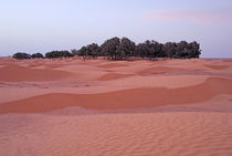 Oasis and sand dunes by Sami Sarkis Photography