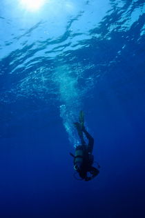 Scuba diver moving down in the blue water von Sami Sarkis Photography