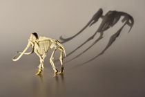 Mammoth skeleton von Sami Sarkis Photography