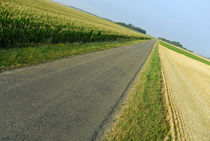 Straight country road by Sami Sarkis Photography