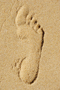 Footprint in sand on beach by Sami Sarkis Photography
