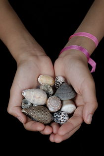 Girl (13-14 years) holding shells in clasped hands von Sami Sarkis Photography