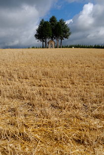 Small chapel in corn field von Sami Sarkis Photography
