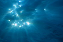 Sunrays penetrating waters surface by Sami Sarkis Photography