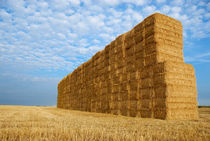 Haystack in field by Sami Sarkis Photography
