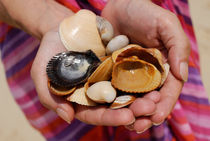 Woman holding shells by Sami Sarkis Photography