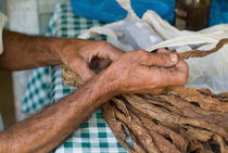 Dried tobacco leaves in man's hands von Sami Sarkis Photography
