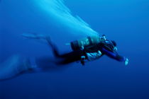 One scuba diver swimming underwater by Sami Sarkis Photography