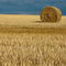 Rm-bale-farm-field-france-harvested-hay-bale-fra720