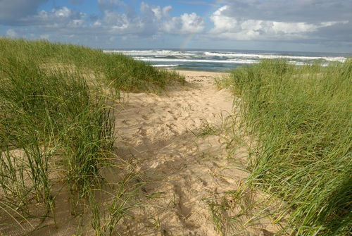 Path-beach-ocean-south-africa-alrf-saa-fna6780