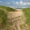 Path-beach-ocean-south-africa-alrf-saa-fna6780