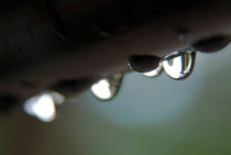 Drops of water about to fall. by Sami Sarkis Photography