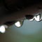 Rf-damp-drips-droplets-freshness-gravity-moist-water-var374