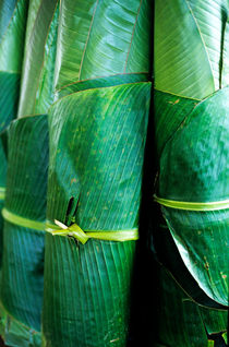 Rolls of banana tree leaves for sale at a market at Port Vila von Sami Sarkis Photography