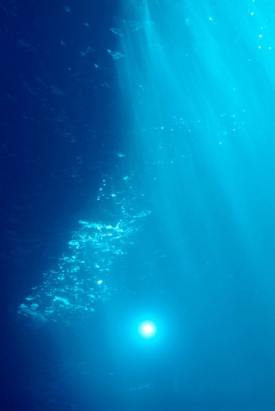 Rf-discovery-diving-light-sunbeams-underwater-uw798