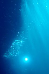 Diver's light seen underwater near the surface. von Sami Sarkis Photography