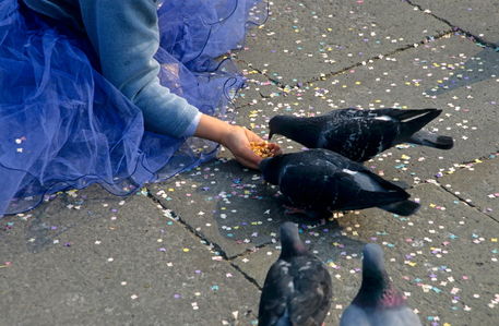 Rm-feeding-girl-pigeons-san-marco-square-ita071