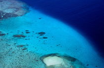 Coral reef in Noumea lagoon von Sami Sarkis Photography