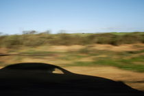 Speeding car shadow von Sami Sarkis Photography