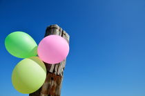Bunch of colorful balloons on wooden pole by Sami Sarkis Photography