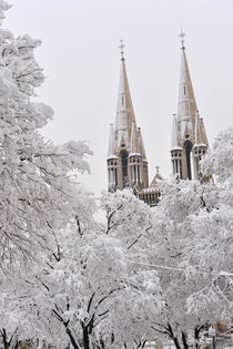 Snow on bell towers and trees by Sami Sarkis Photography