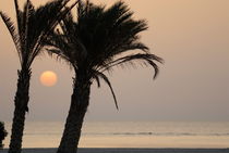 Palm trees and Red sea at sunrise von Sami Sarkis Photography