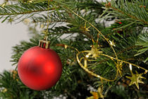 Red bauble on Christmas tree by Sami Sarkis Photography