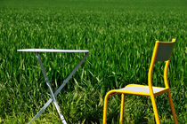 Table and chair by wheat field by Sami Sarkis Photography