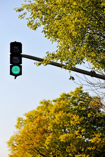 Green traffic light and trees at sping by Sami Sarkis Photography