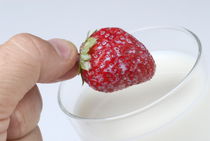 Close-up of man's hand putting strawberry into glass of milk by Sami Sarkis Photography